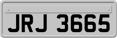 JRJ3665