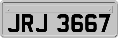 JRJ3667