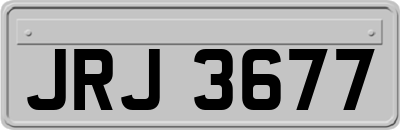 JRJ3677