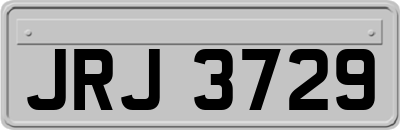 JRJ3729