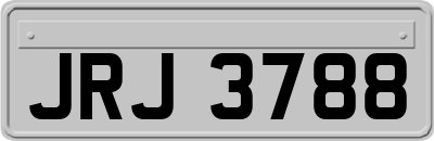 JRJ3788