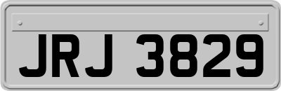 JRJ3829
