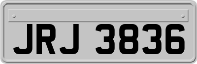 JRJ3836