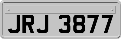 JRJ3877