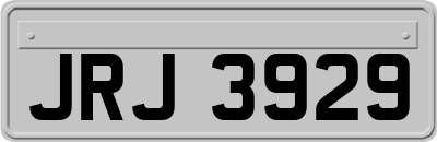 JRJ3929