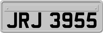 JRJ3955
