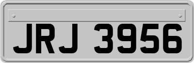 JRJ3956