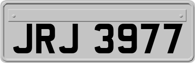 JRJ3977