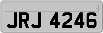 JRJ4246