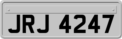 JRJ4247