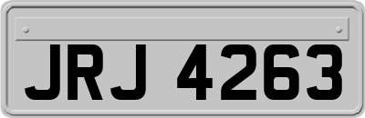 JRJ4263