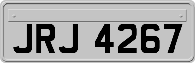 JRJ4267