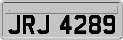 JRJ4289