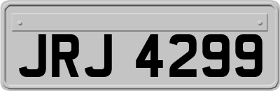 JRJ4299
