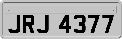 JRJ4377