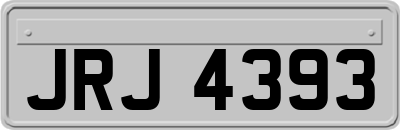JRJ4393