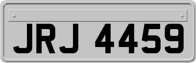 JRJ4459