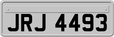 JRJ4493