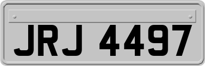 JRJ4497