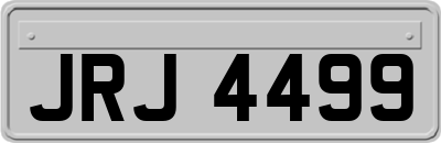JRJ4499