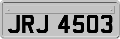 JRJ4503