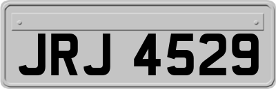 JRJ4529