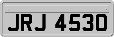 JRJ4530