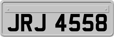 JRJ4558