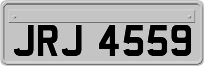 JRJ4559