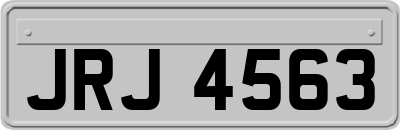 JRJ4563
