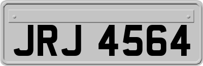 JRJ4564
