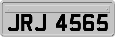 JRJ4565