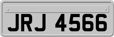 JRJ4566