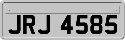 JRJ4585