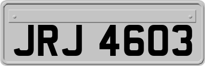 JRJ4603