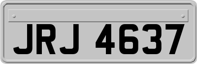 JRJ4637