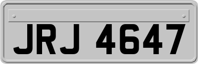 JRJ4647
