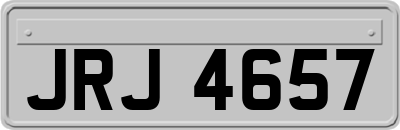 JRJ4657