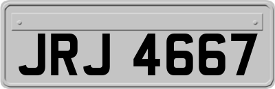 JRJ4667