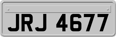 JRJ4677