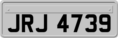 JRJ4739