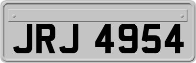 JRJ4954