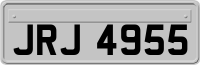 JRJ4955
