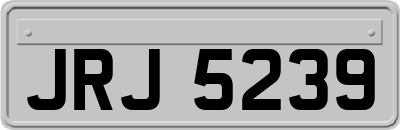 JRJ5239