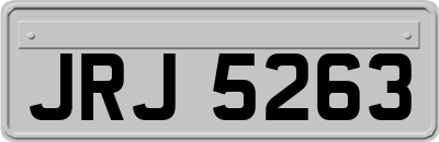 JRJ5263