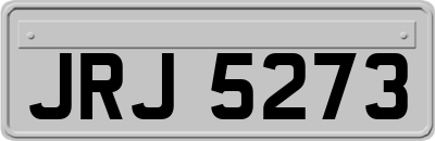 JRJ5273