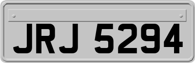 JRJ5294