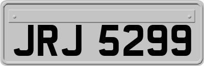 JRJ5299