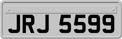 JRJ5599