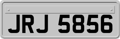 JRJ5856